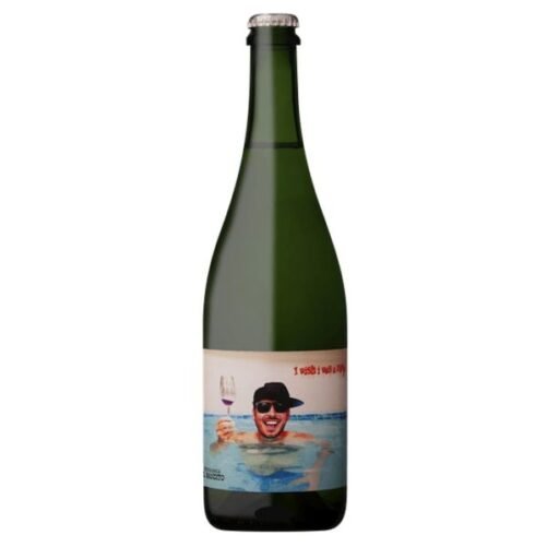 I Wish I Was a Ninja, 2022 – PetNat Colombard – Testalonga